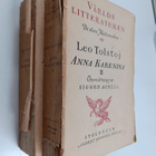 Leo Tolstoi : Anna Karenina 1-2 - pikkukuva 1