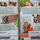 VIPO ja ystävät - Aikasaaren seikkailu 1 - 4 (DVD) - pikkukuva 2