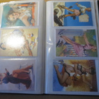Business card holder - 81 erilaista pin-up kuvaa - pikkukuva 4