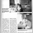 Koti n:o 12 1988 Lähteenmäen tila. Lammi Pöystilän täysihoit - pikkukuva 5