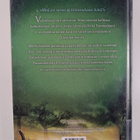 Erin Hunter : Pirstoutunut taivas - pikkukuva 2