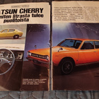 Datsun 100A - pikkukuva 1