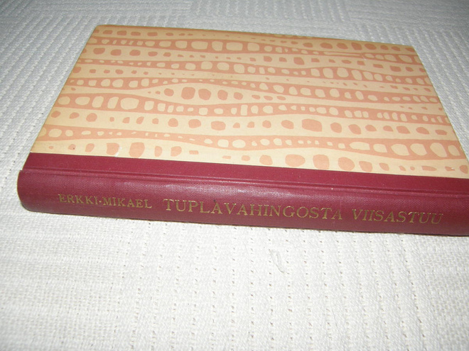 Erkki-Mikael Tuplavahingosta viisastuu