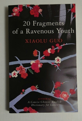 Xiaolu Guo - 20 Fragments of a Ravenous Youth
