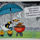 "Aku Ankka grillaa sateella"-KULKEMATON POSTIKORTTI - pikkukuva 1