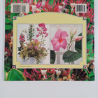 Whitecap Books : Climbers and Trellis Plants - pikkukuva 2