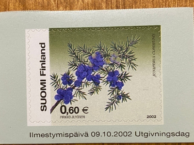 KATAJA 2002**
