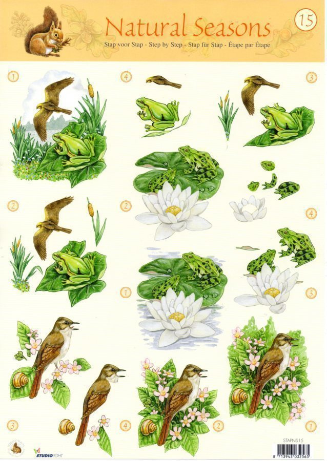 3D "°LINNUT & LUMPEENKUKAT"° / Natural Seasons 15