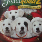 JOULUKOIRA 2 - SUURI JOULUHULINA DVD - pikkukuva 1