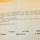 VANHA Lehtinen Sortokausi Vastarintaliike - pikkukuva 3