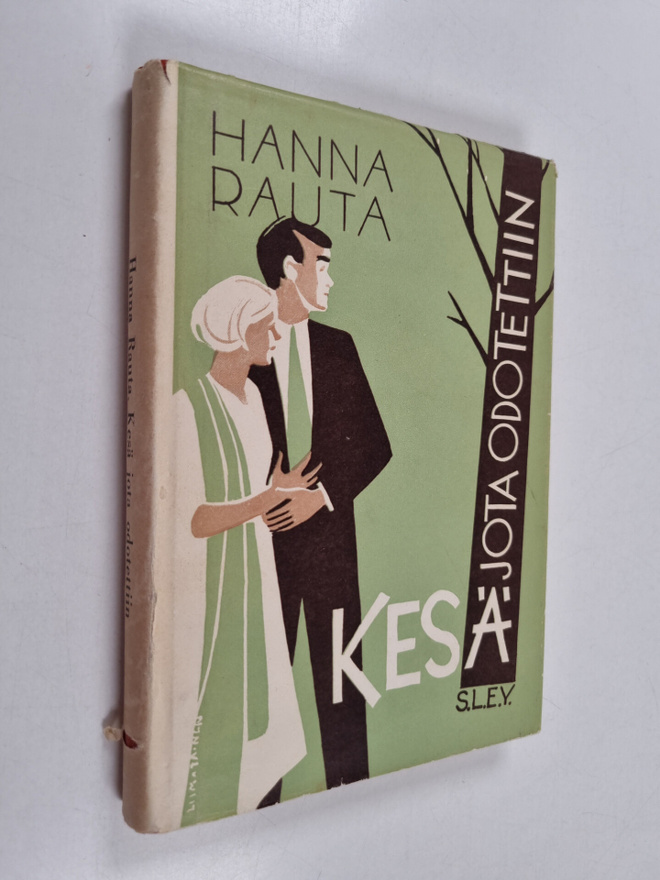 Hanna Rauta : Kesä, jota odotettiin