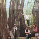 Canned Heat - Future Blues LP 1970 - pikkukuva 3