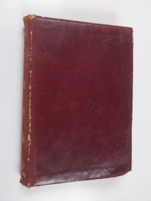 Charles Dickens : David Copperfield