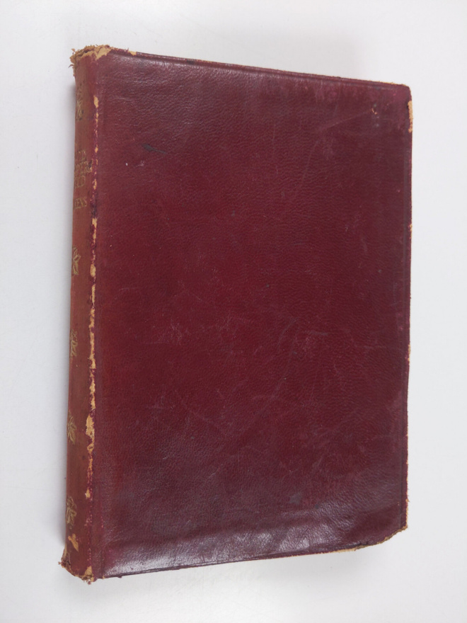 Charles Dickens : David Copperfield
