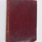 Charles Dickens : David Copperfield - pikkukuva 1