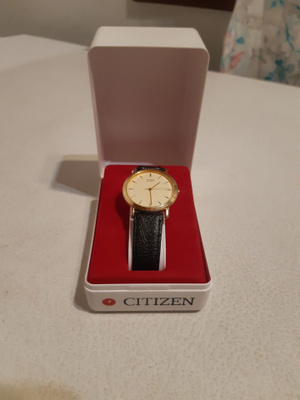 Citizen Quartz miesten kullanvärinen rannekello