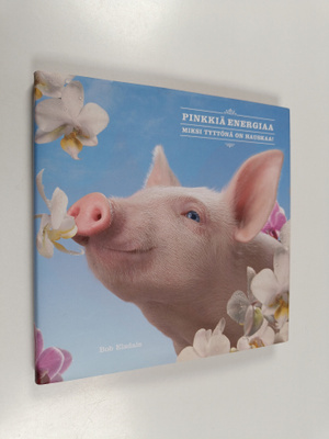 Bob Elsdale : Pinkkiä energiaa : miksi tyttönä on hauskaa!