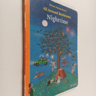 Rotraut Susanne Berner : Nighttime - pikkukuva 1