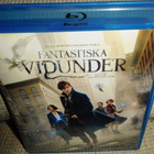Ihmeotukset Ja Niiden Olinpaikat Blu-ray - pikkukuva 2