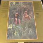 Burton & Cunico: Strive, Seek, Find  1971 LP - pikkukuva 2