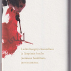 Jaakko Hämeen-Anttila: Tarina hullusta rakastajasta - pikkukuva 2