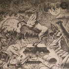 Kollwitz – Like Iron I Rust vinyyli 2LP - pikkukuva 1