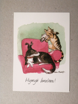 Hymyä huuleen