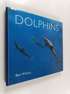 Ben Wilson : Dolphins