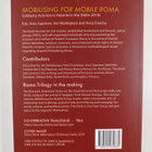 Aino Saarinen ym. : Mobilising for Mobile Roma : Solidari... - pikkukuva 2