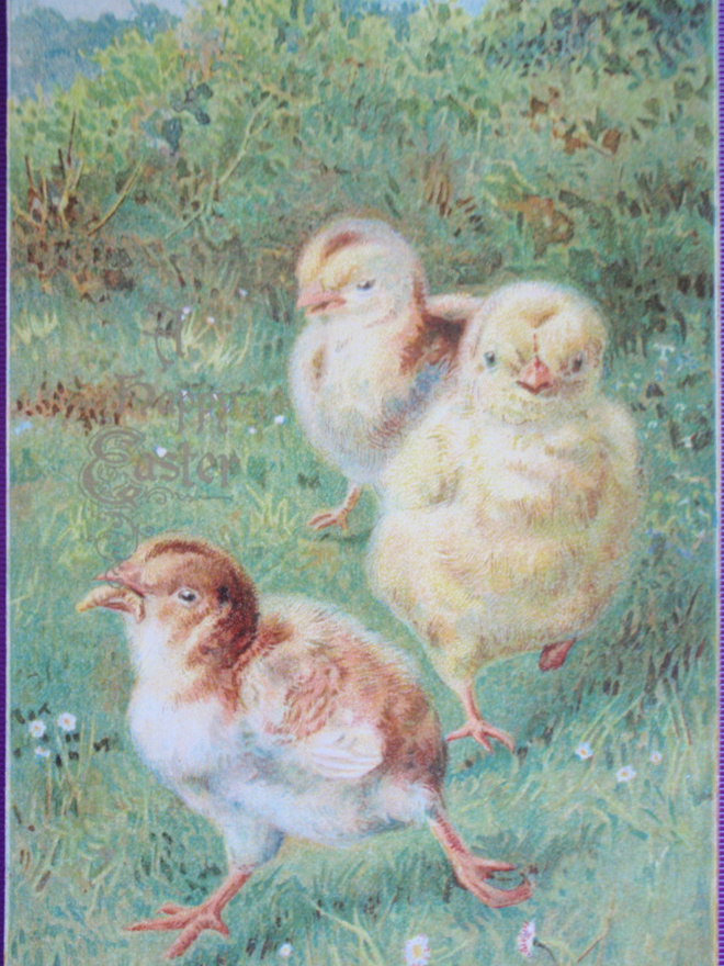 Tipulla mato suussa, toisetkin haluavat sen WANHA 1907