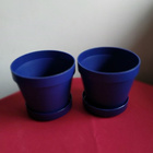 2 ORTHEX KUKKARUUKKUA 16CM - pikkukuva 1