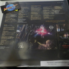 BLAZE BAYLEY - ENDURE AND SURVIVE LP INNER SLEEVE NIMMARILLA - pikkukuva 1