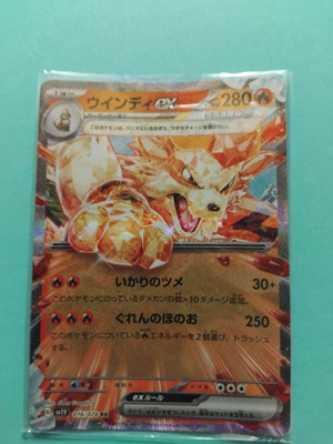 Pokemon Arganine ex JPN