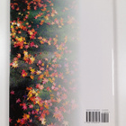 Hidehiko Mizuno : Autumn colors of Kyoto : A seasonal por... - pikkukuva 2