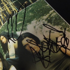 TYPE O NEGATIVE BÄNDIN NIMMARIT DONINGTON 1996 KIRJASSA - pikkukuva 3