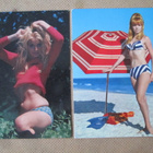 neljä pin-up postikorttia - pikkukuva 3