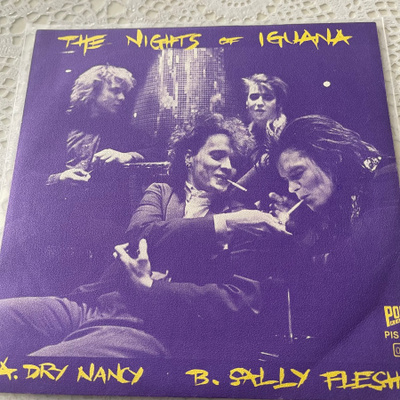 THE NIGHTS OF IGUANA: Dry Nancy * Sally Flesh * FIN 1986
