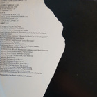 Lou Reed : Street Hassle. US. -78. - pikkukuva 3