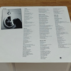 Suzanne Vega LP - pikkukuva 4