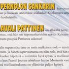 Hannele Lampinen: Supernolo supersankari - pikkukuva 3