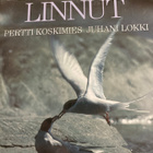 KOSKIMIES - LOKKI: KOTIMAAN LINNUT - pikkukuva 2