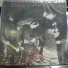 IMMORTAL - DIABOLICAL FULLMOON MYSTICISM FRA 2010 UUSI LP - pikkukuva 2