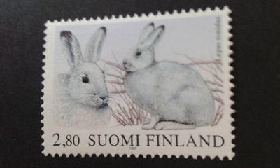 1997 metsäjänis**