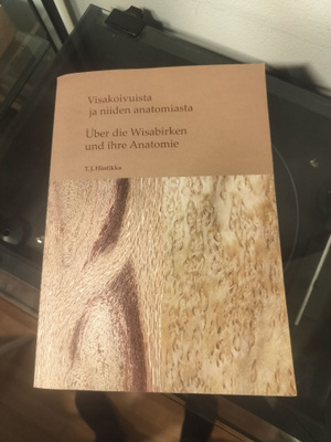 Visakoivuista ja niiden anatomiasta