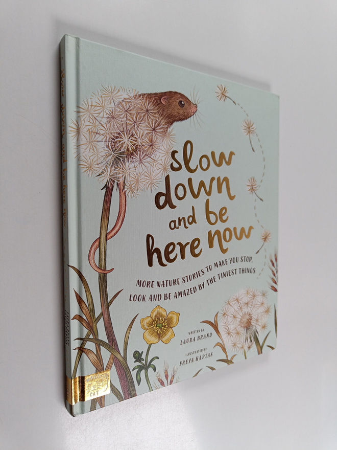 Laura Brand : Slow down and be here now : More nature sto...