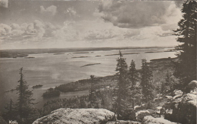 KOLI