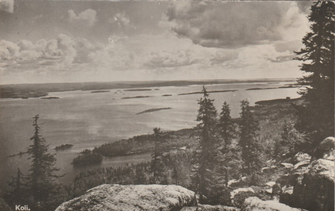KOLI