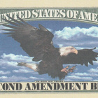 USA 1 MILJ. DOLLARS UNITED THE RIGHT TO BEAR ARMS (K16-S26) - pikkukuva 2