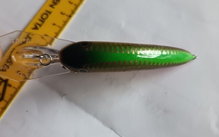 Rapala Dives To 9FT
