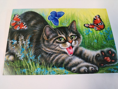 Kissa kortti,kulkematon,vaikka kehyksiin tauluksi.
